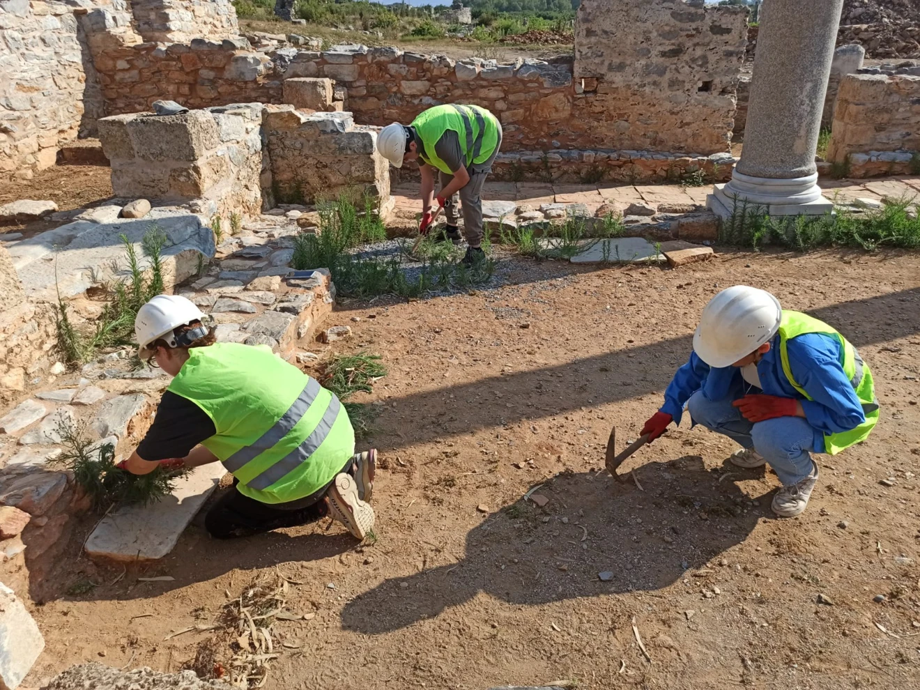 Anemurium Antik Kenti 2023 yılı çalışmaları bilim heyeti üyeleri; arkeoloji, sanat tarihi ve restorasyon - konservasyon bölümü öğrencileriyle birlikte, bir çok alanda titizlikle yürütülmektedir.